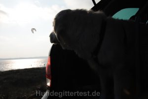 hundegitter-trenngitter-test-auto-kombi