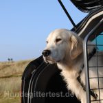 hundegitter-urlaub-auto-reise