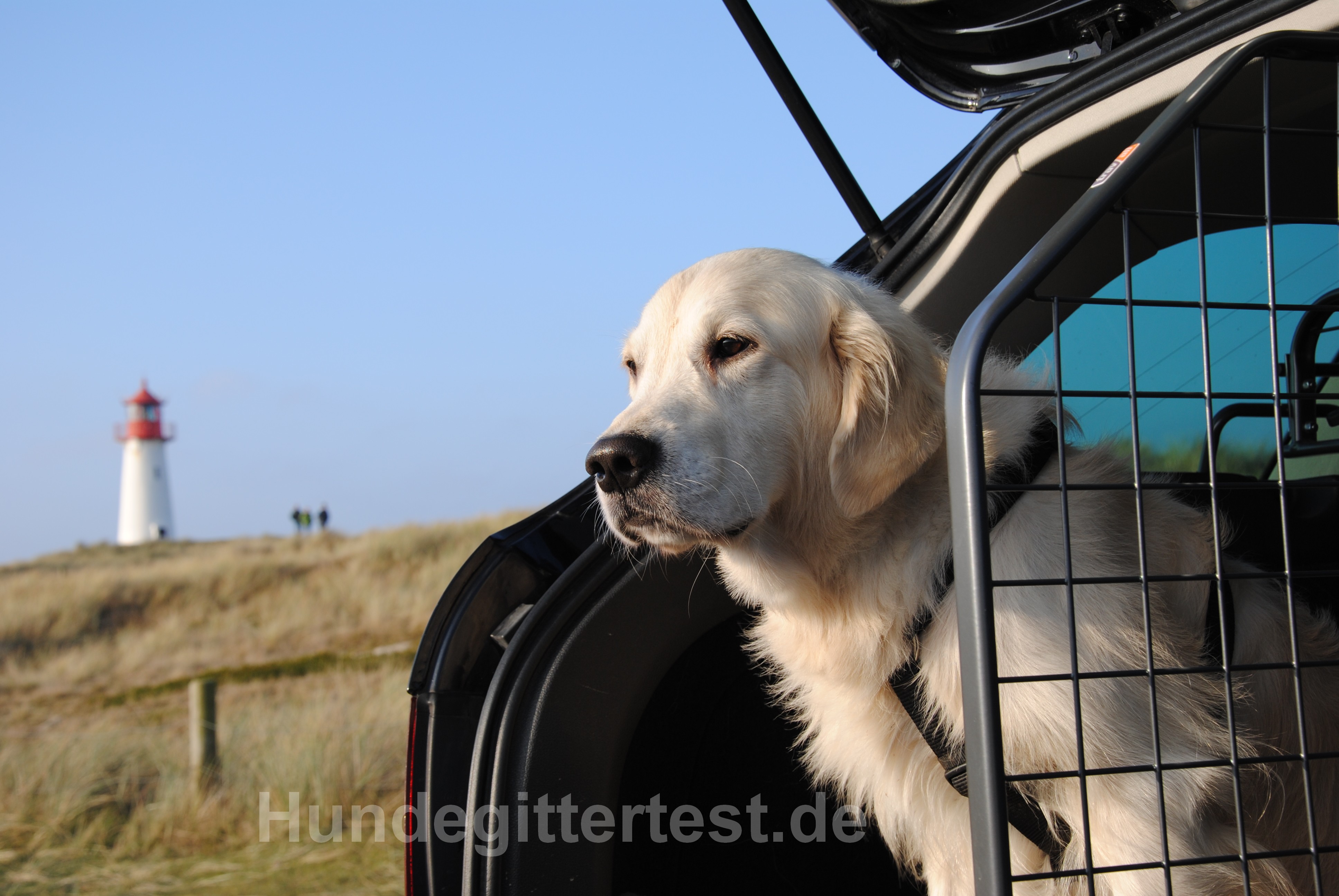 Hundegitter für den sicheren Transport